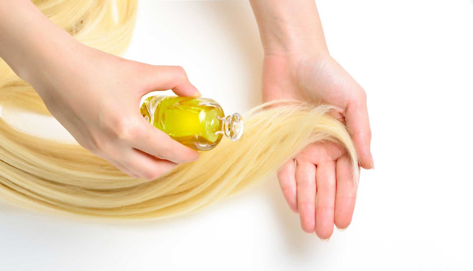 produccion de aceite de oliva en cordoba