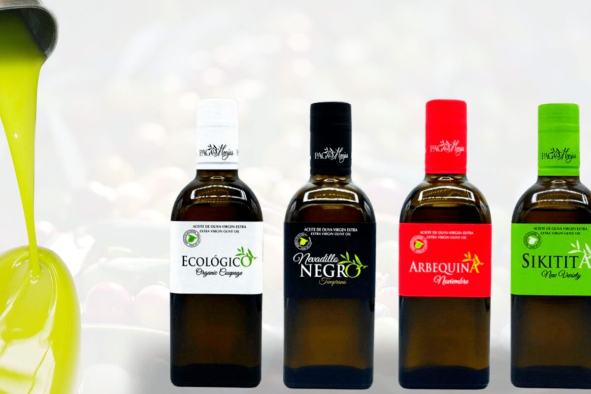 aceite de oliva aove aceite ecologico